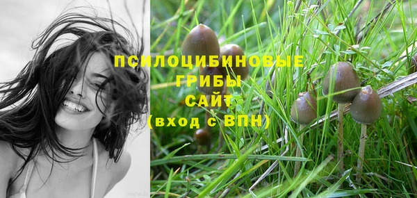 мдпв Богданович