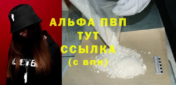 мдпв Богданович