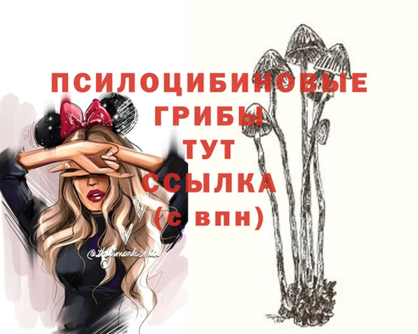 мдпв Богданович