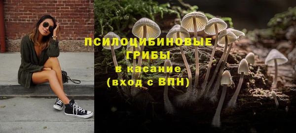 мдпв Богданович