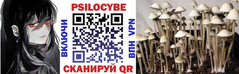 Псилоцибиновые грибы GOLDEN TEACHER Мезень